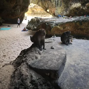 https://lavanda-guesthouse-homestay.ubudhotelsnow.com